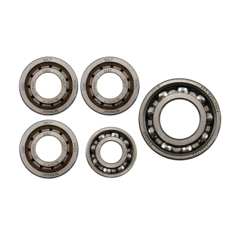 SKF Kugellagersatz für Motor (5-tlg.), RT125/1, RT125/2